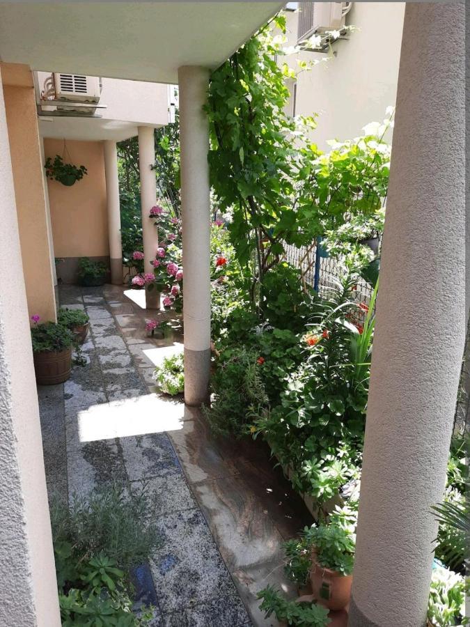 Vila Doris Hotel Baška Voda Екстериор снимка